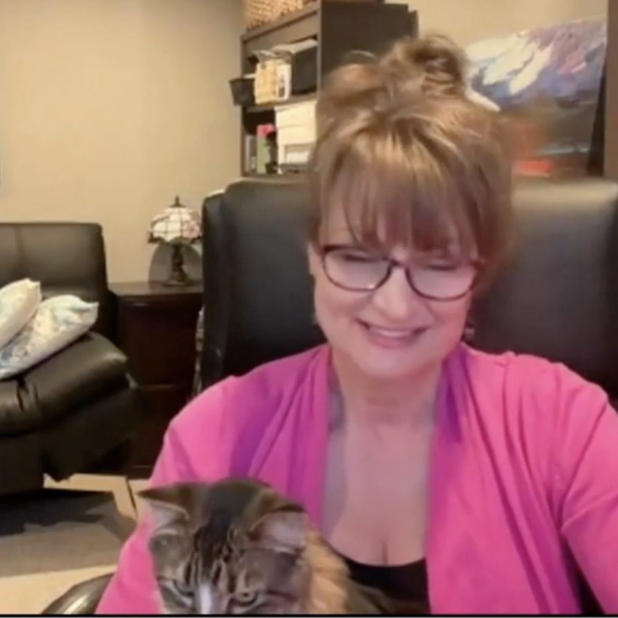 Webinar